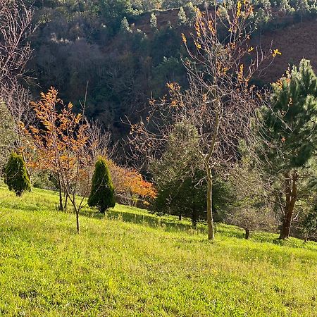 Finca Portizuelo Луарка Екстериор снимка