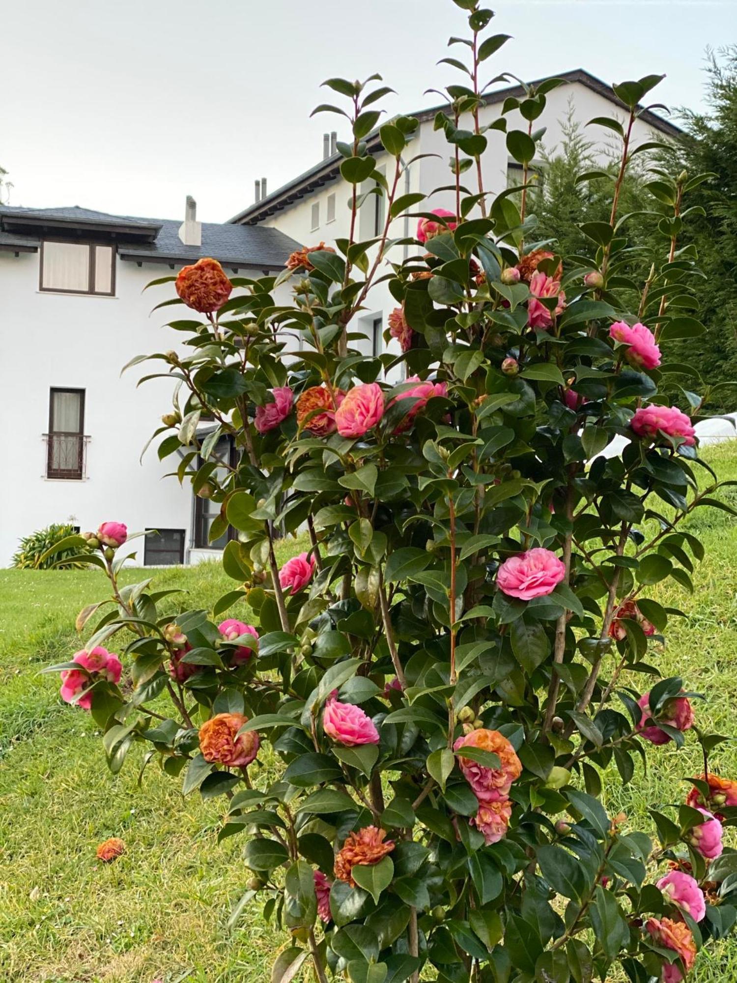 Finca Portizuelo Луарка Екстериор снимка