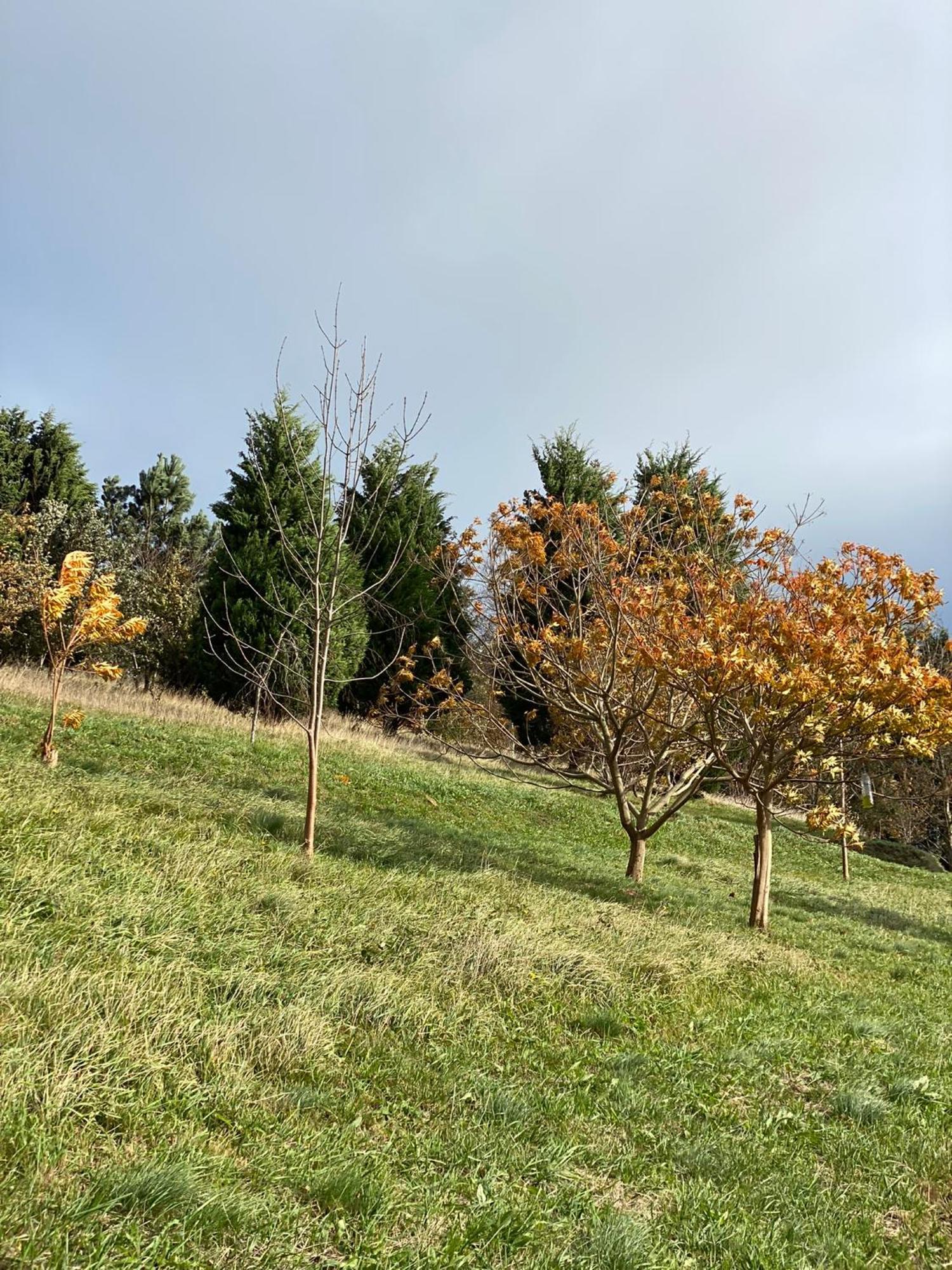 Finca Portizuelo Луарка Екстериор снимка