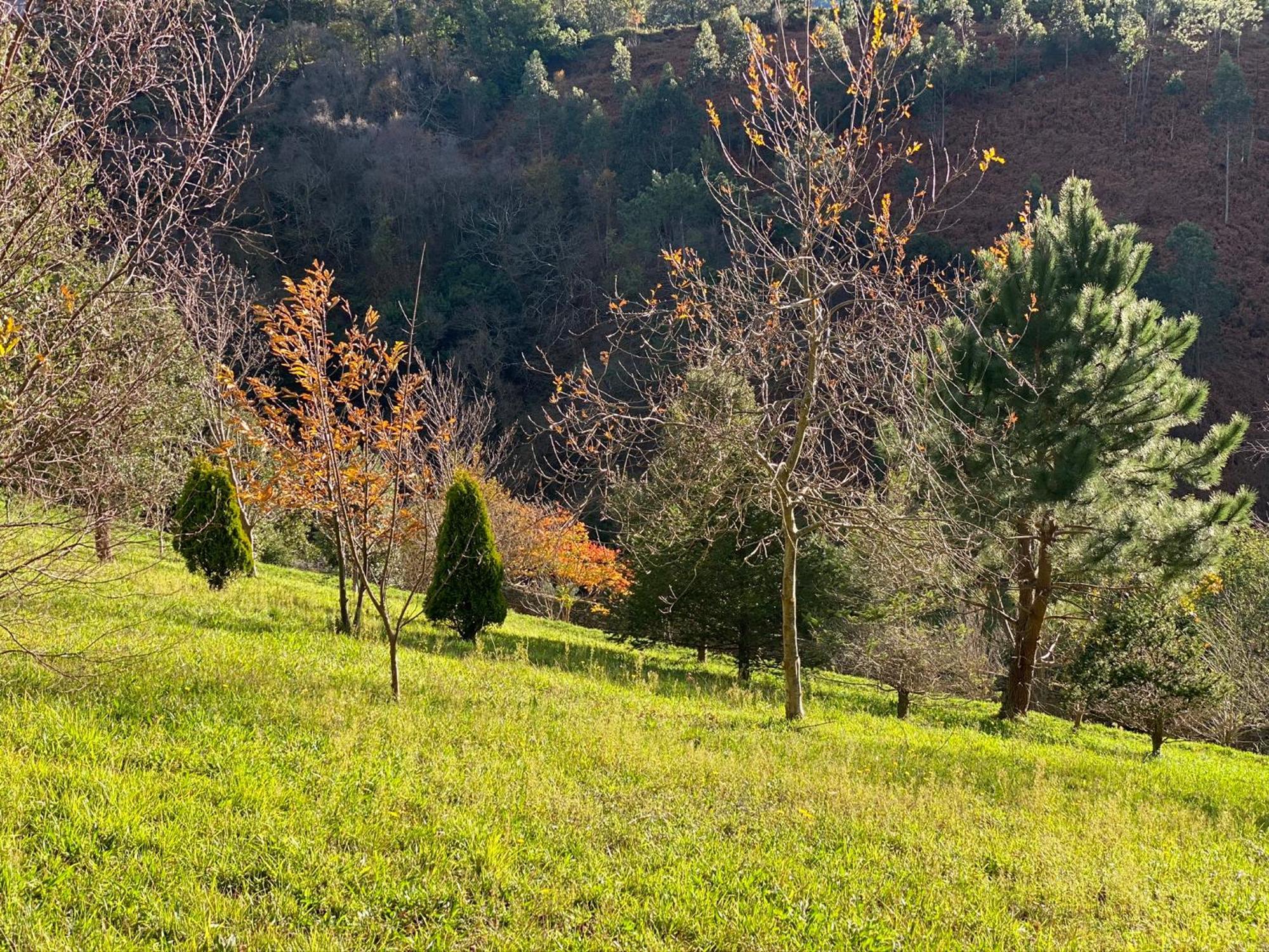 Finca Portizuelo Луарка Екстериор снимка