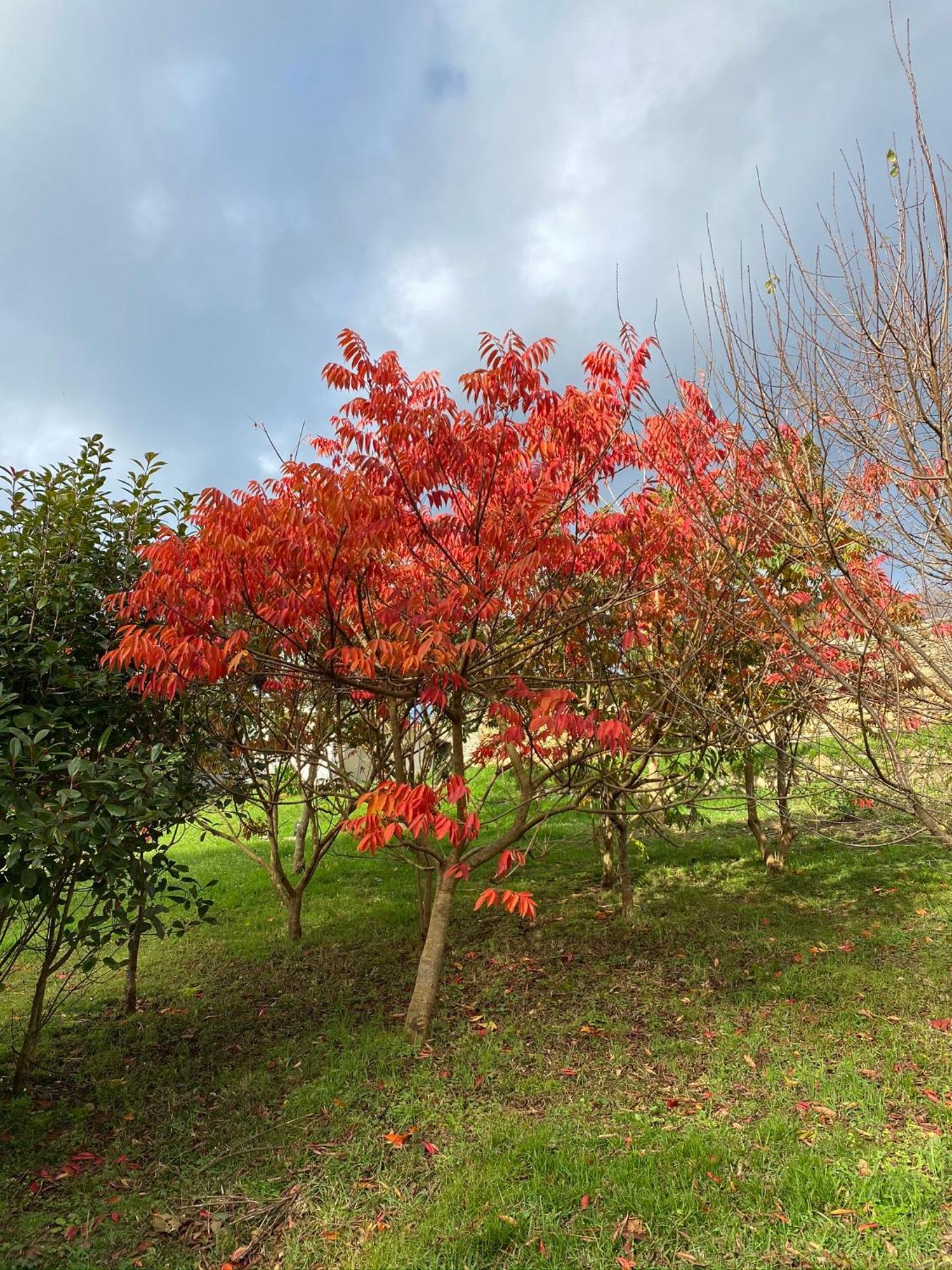 Finca Portizuelo Луарка Екстериор снимка