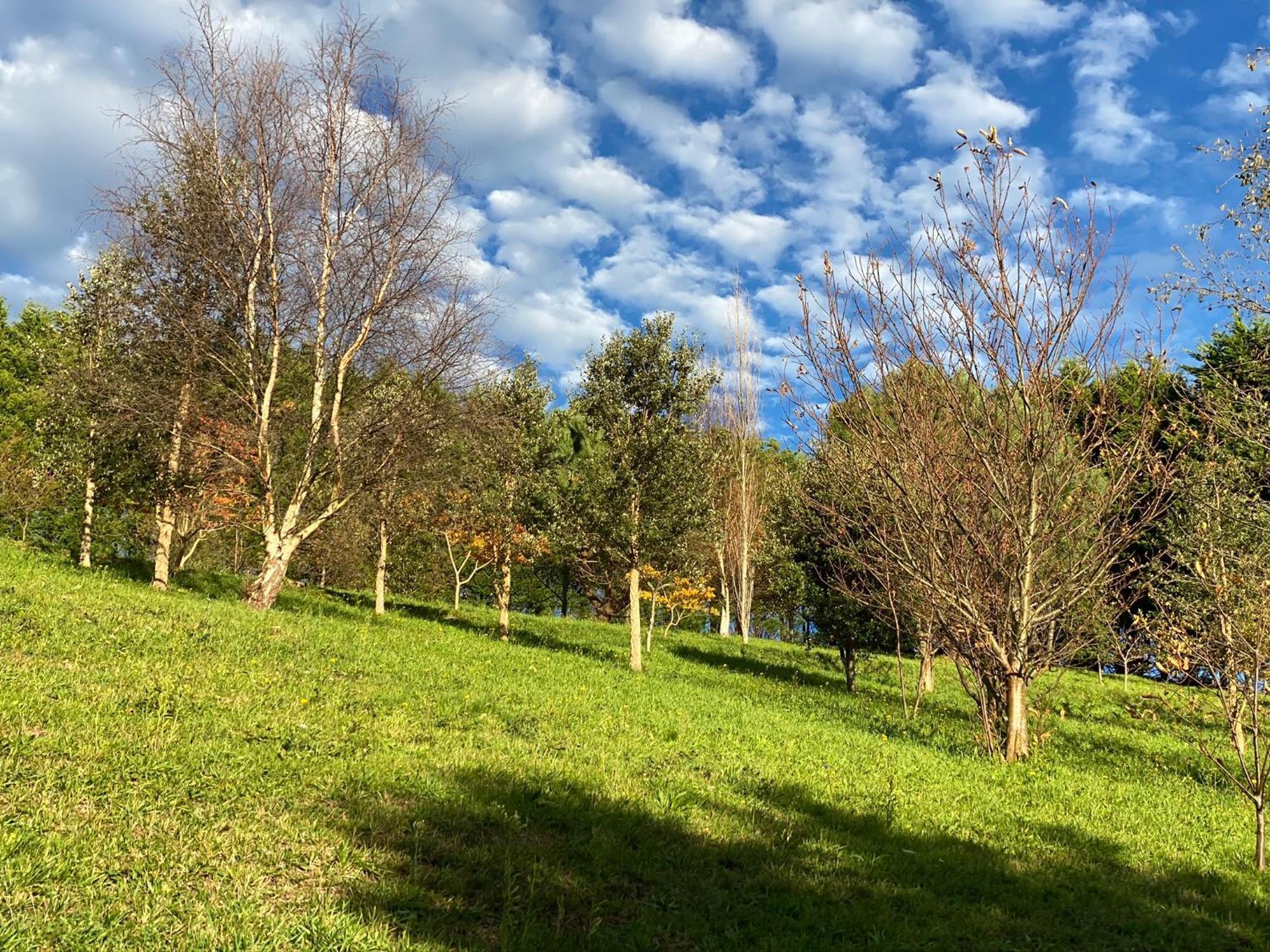 Finca Portizuelo Луарка Екстериор снимка