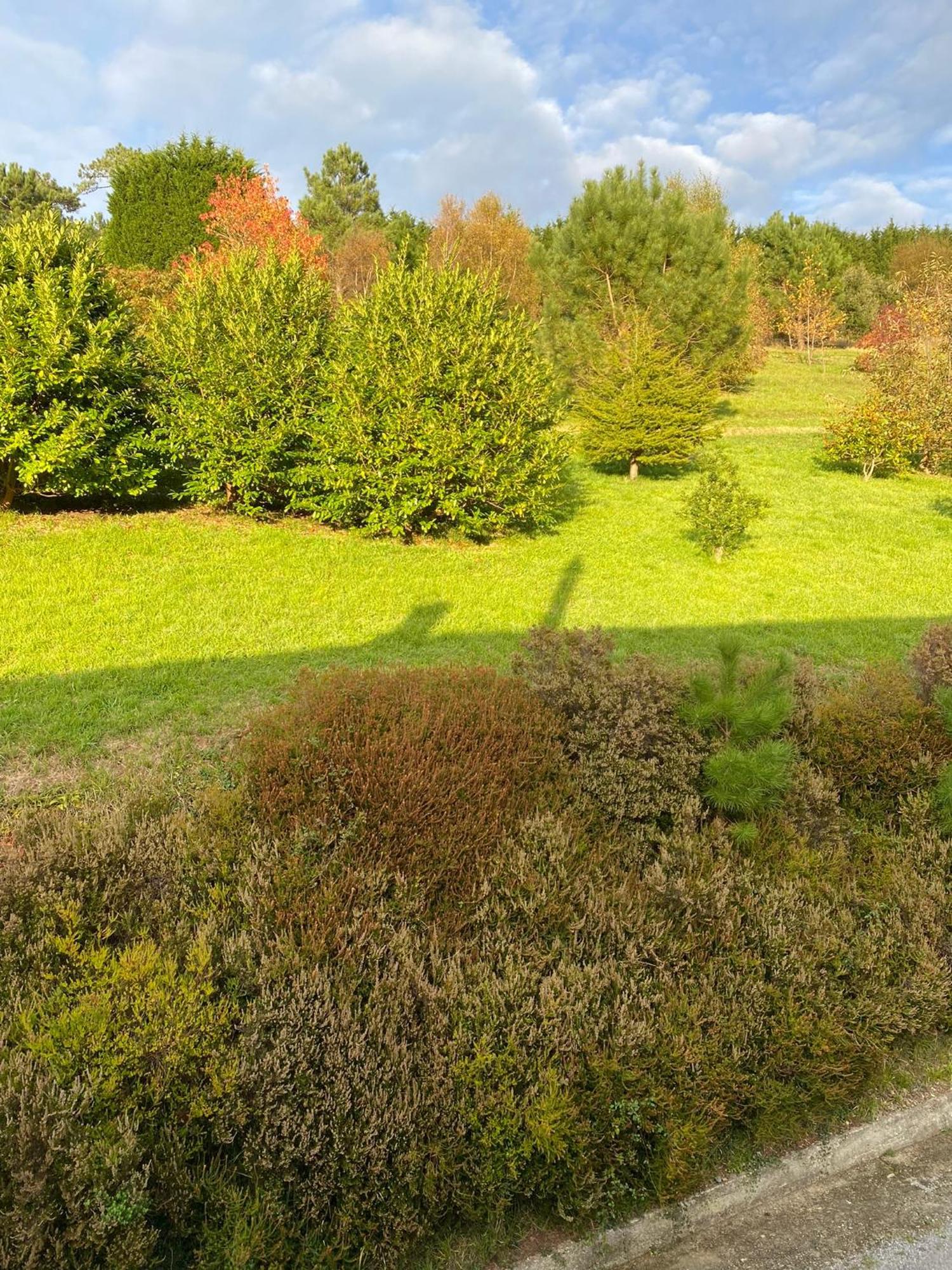 Finca Portizuelo Луарка Екстериор снимка