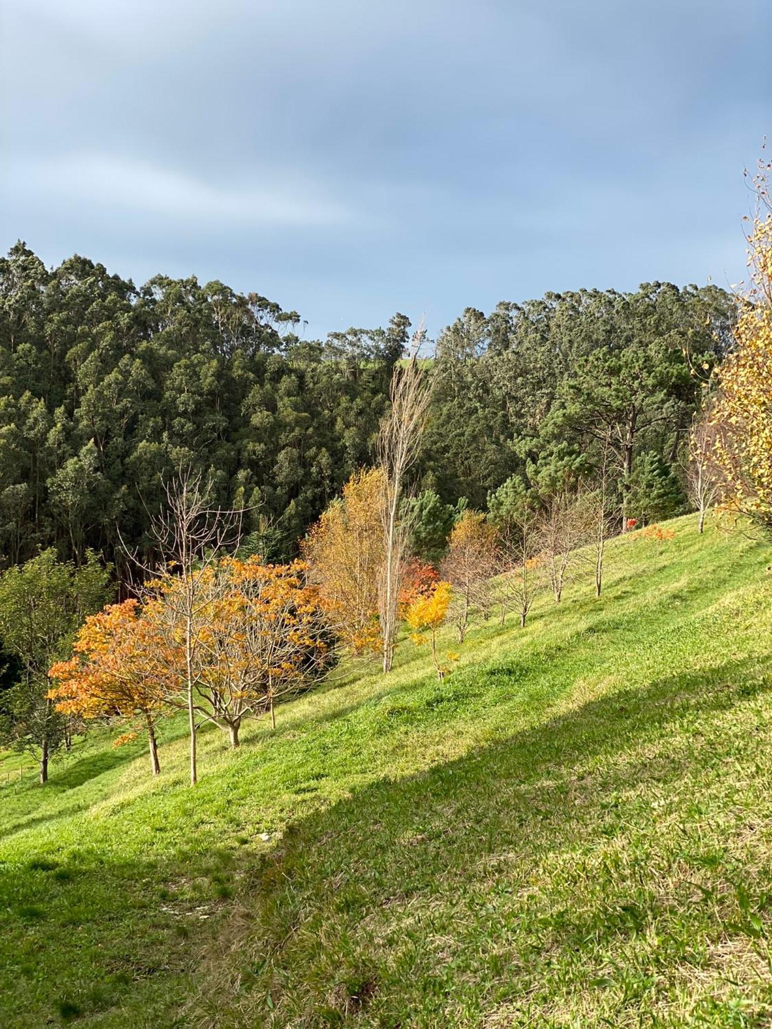 Finca Portizuelo Луарка Екстериор снимка
