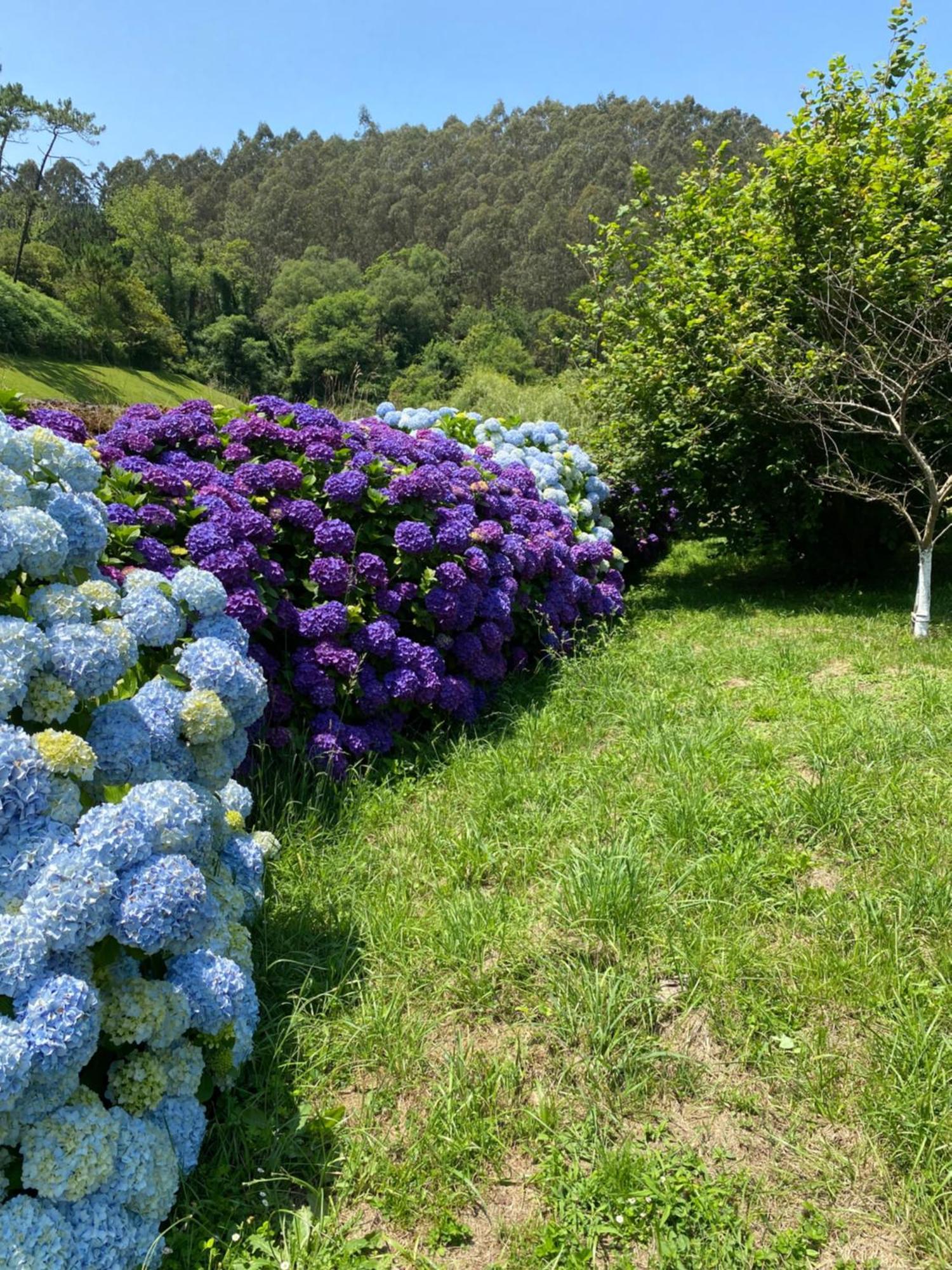 Finca Portizuelo Луарка Екстериор снимка