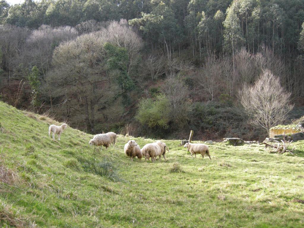 Finca Portizuelo Луарка Екстериор снимка