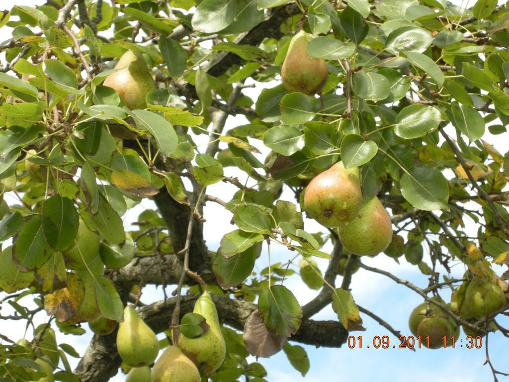 Finca Portizuelo Луарка Екстериор снимка