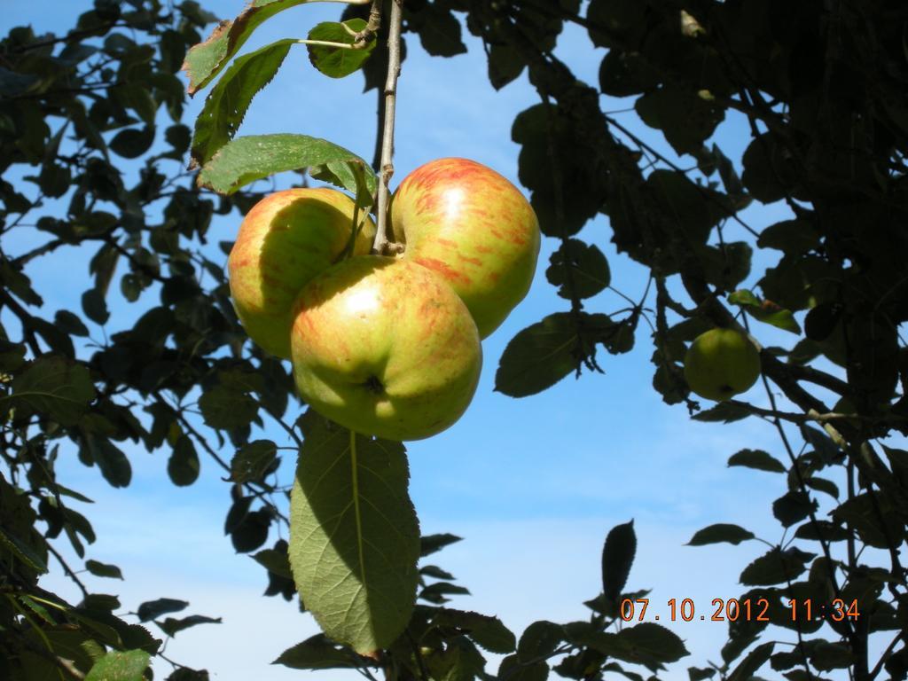 Finca Portizuelo Луарка Екстериор снимка