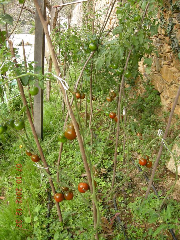 Finca Portizuelo Луарка Екстериор снимка