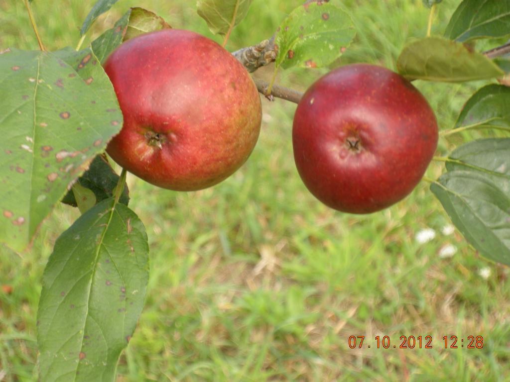 Finca Portizuelo Луарка Екстериор снимка