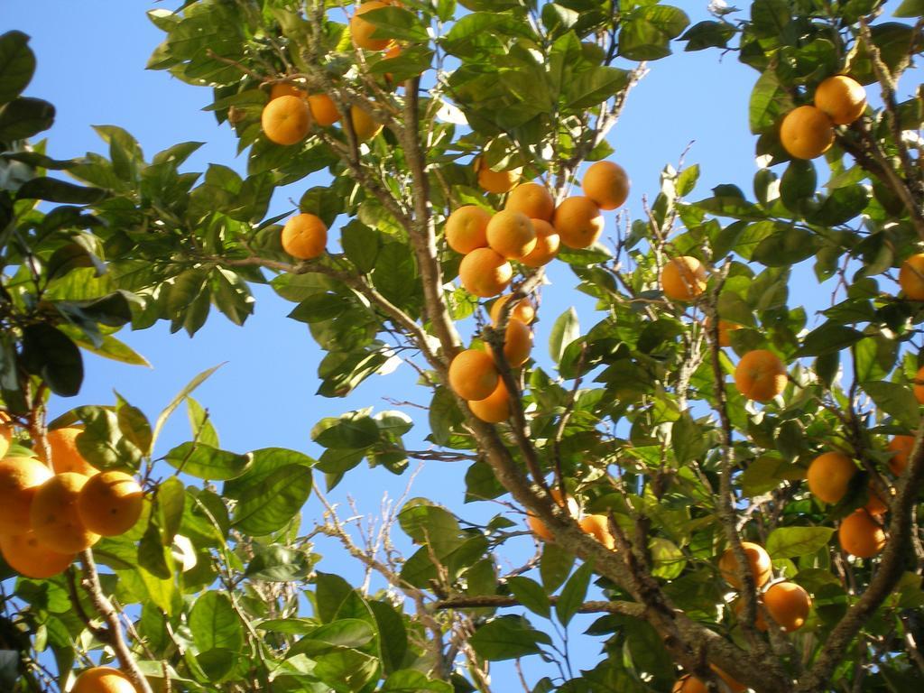 Finca Portizuelo Луарка Екстериор снимка